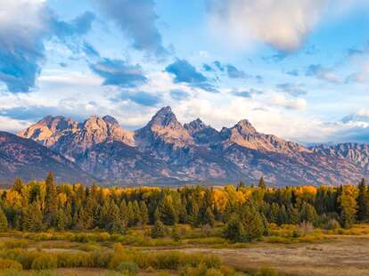 impressive mountains surrounded by a forest of trees at grand teton national park, wyoming