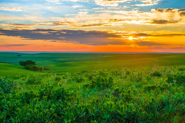 sloping green hills flint hills kansas wheat