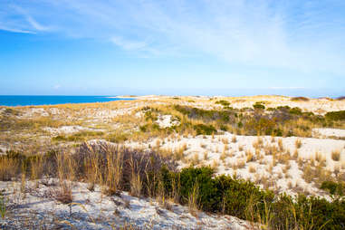 sand dunes at Delaware beach