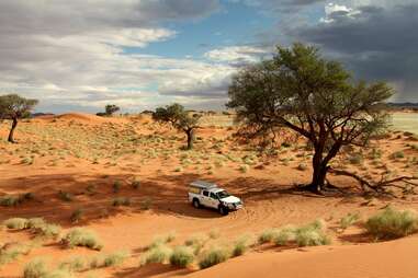 etosha camping