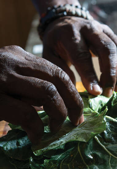 chopping greens