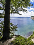 jasmund national park cliffs